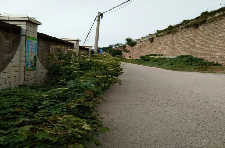 除草刷墻灑汗水，苗圃外貌換新顏