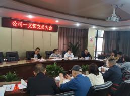 公司一支部開展 “學(xué)黨史、強(qiáng)信念、知黨恩、跟黨走” 黨史讀書交流會(huì)主題黨日活動(dòng)
