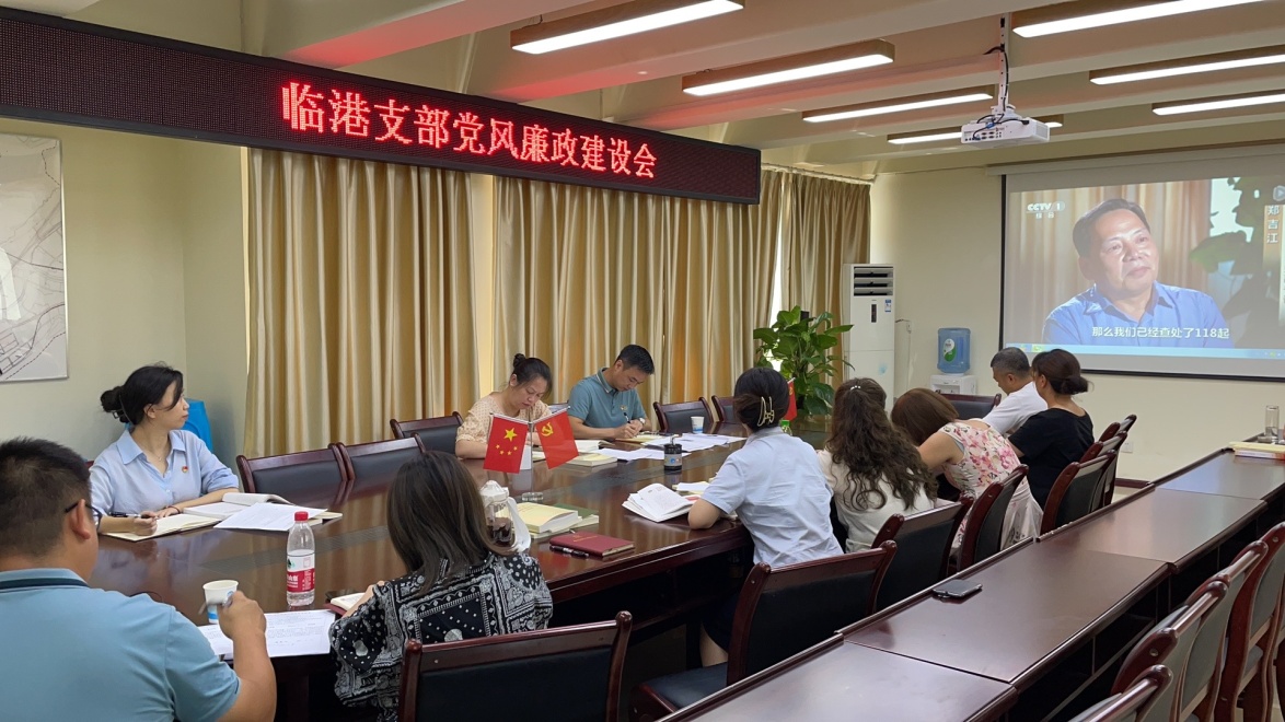 臨港支部組織收看警示教育片《正風(fēng)肅紀(jì)紀(jì)實》 ——臨港支部召開7月黨風(fēng)廉政建設(shè)會
