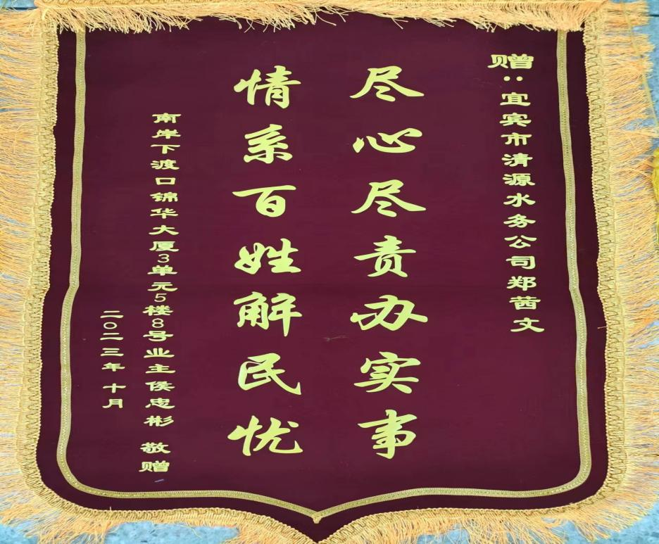 盡心盡責(zé)辦實事，為民解憂獲贊揚